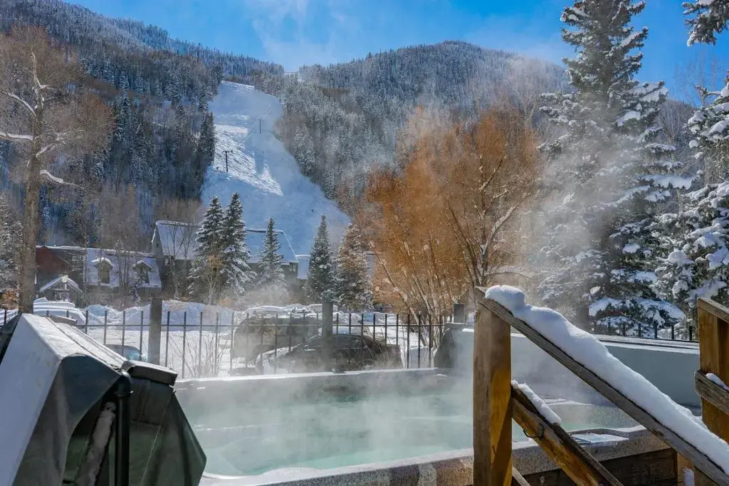 Telluride Lodge Unit 301 - A Lift-Side Condo