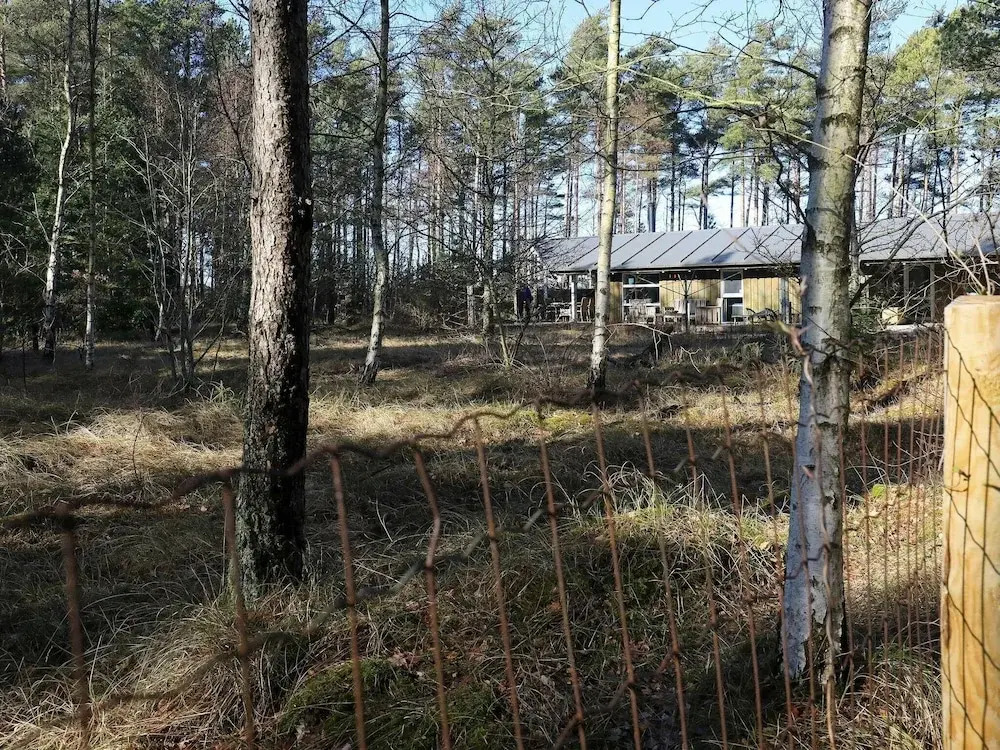 Scenic Holiday Home in Jutland with Terrace