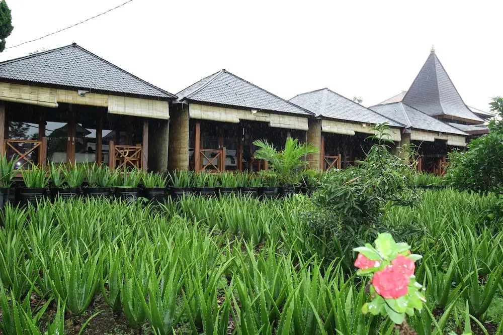 Puri Karang Besakih