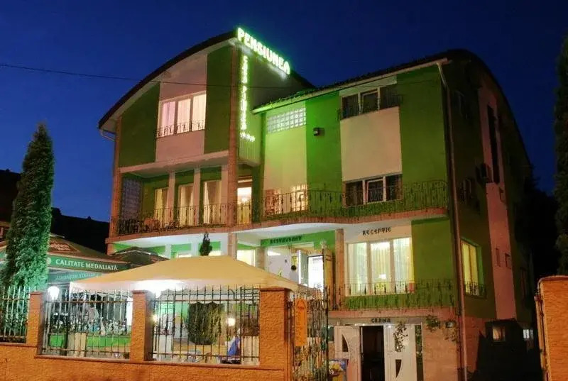 Casa Pintea