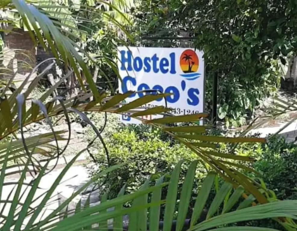 Cocos Hostel