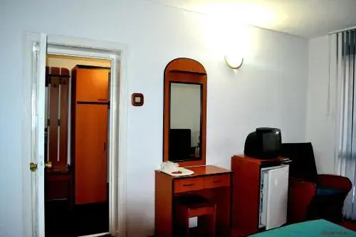 Hotel Bradul