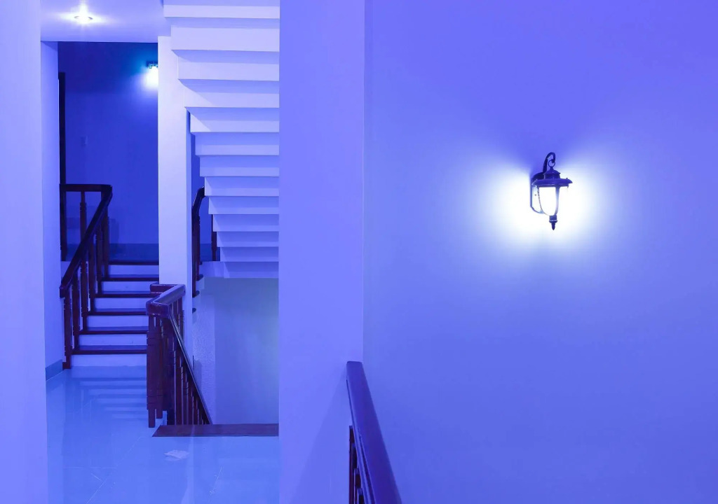 Hoang Thu Hostel
