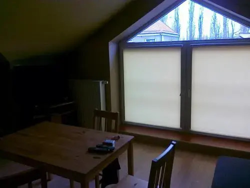 Sokół