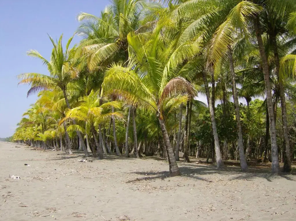 La Palapa Ecolodge