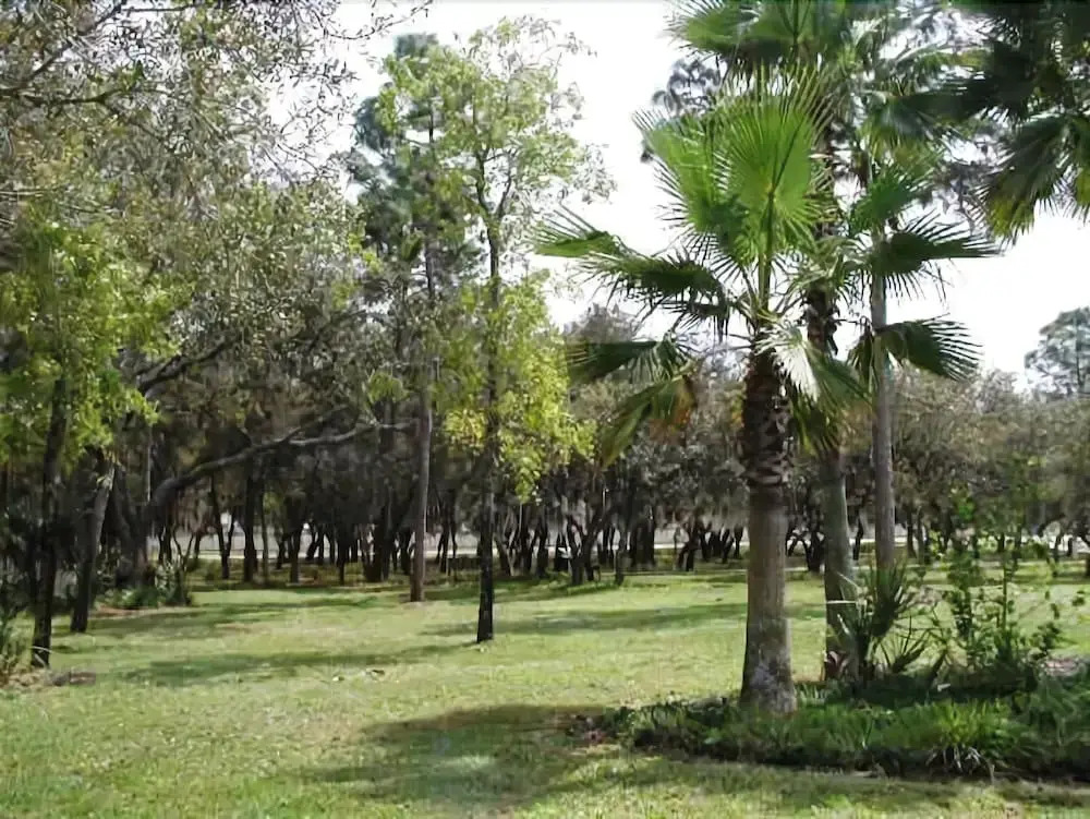 Indian Ridge - 4 Bedroom Pool Home- 2408IR