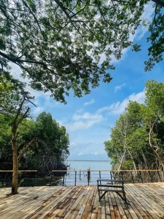 Blue Mangrove lagoon by serenity