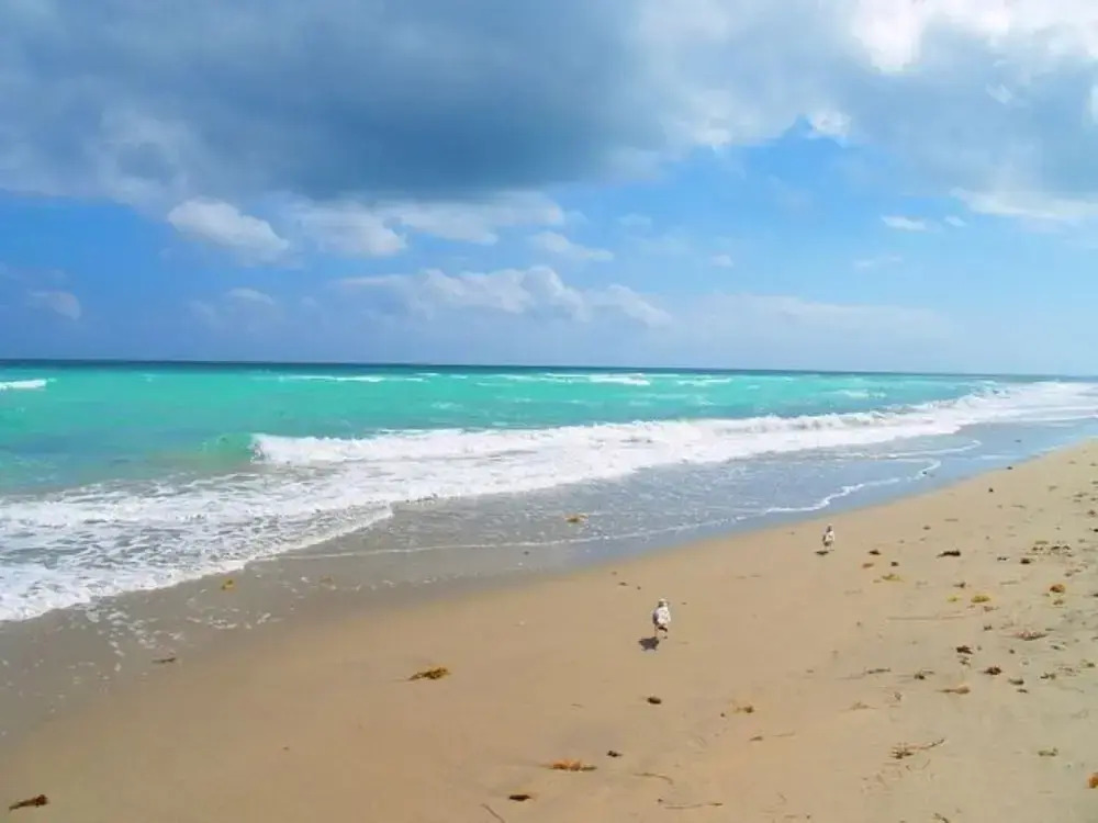 Gorgeous gem, walk from the Ocean!!