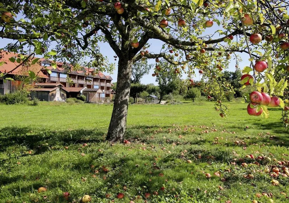 Hotel am Haslinger Hof