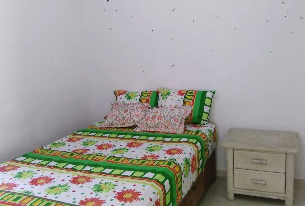 La Casa del Cactus