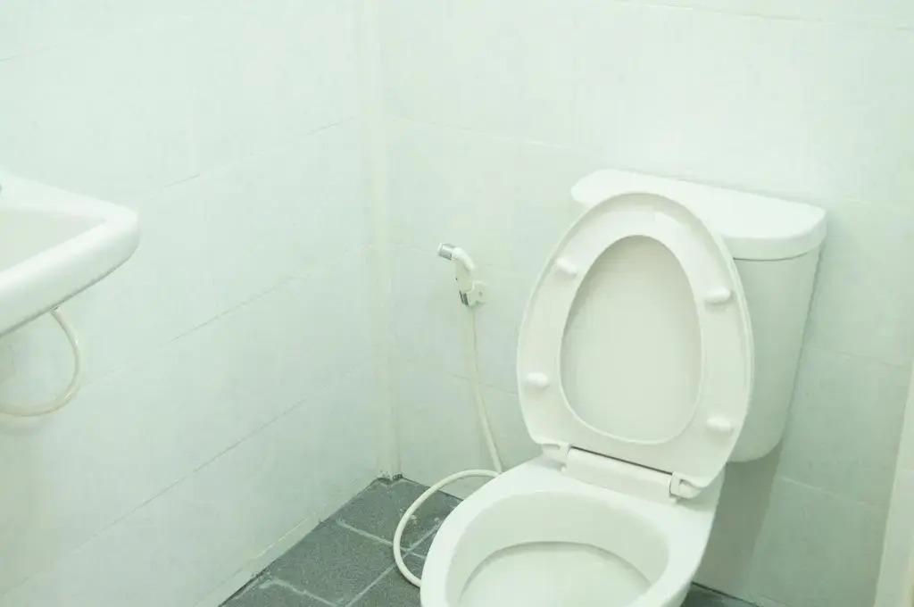 Sataya Apartment