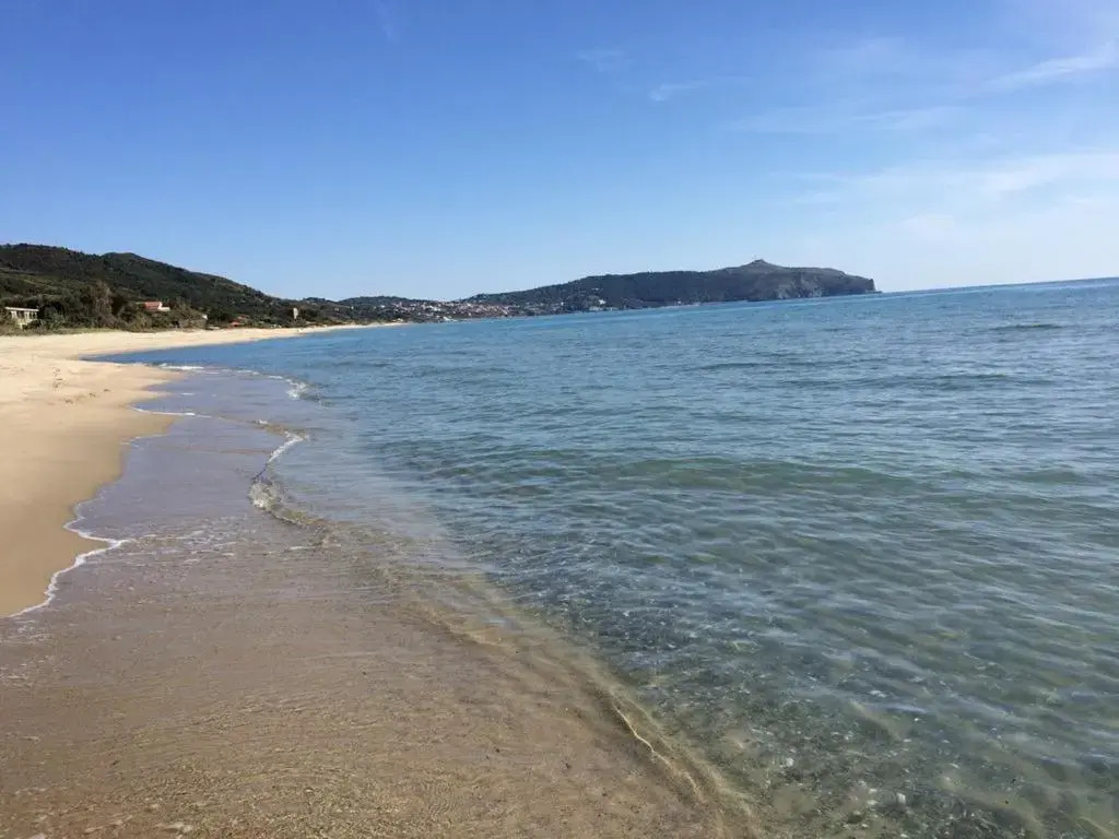 Fior D'Arancio