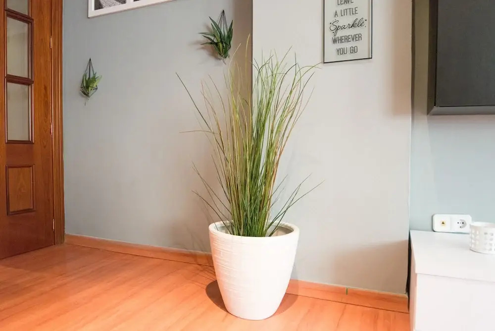 Quiet & Cozy Apartment
