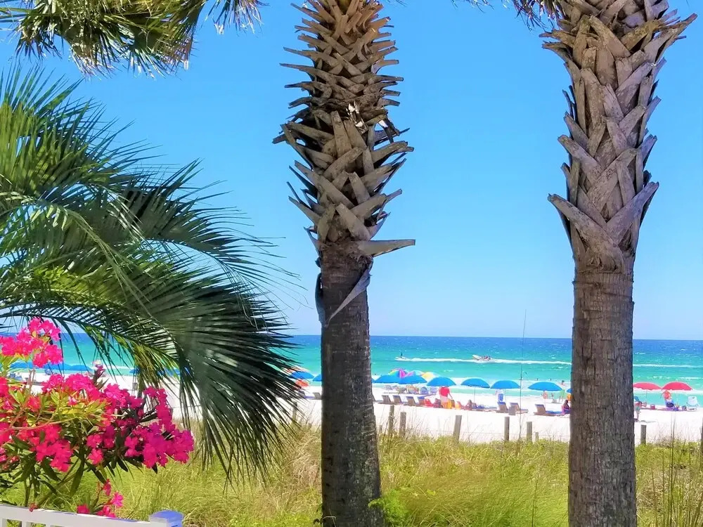 Beachside Sunrise at PCB New 226 Mbps Wifi