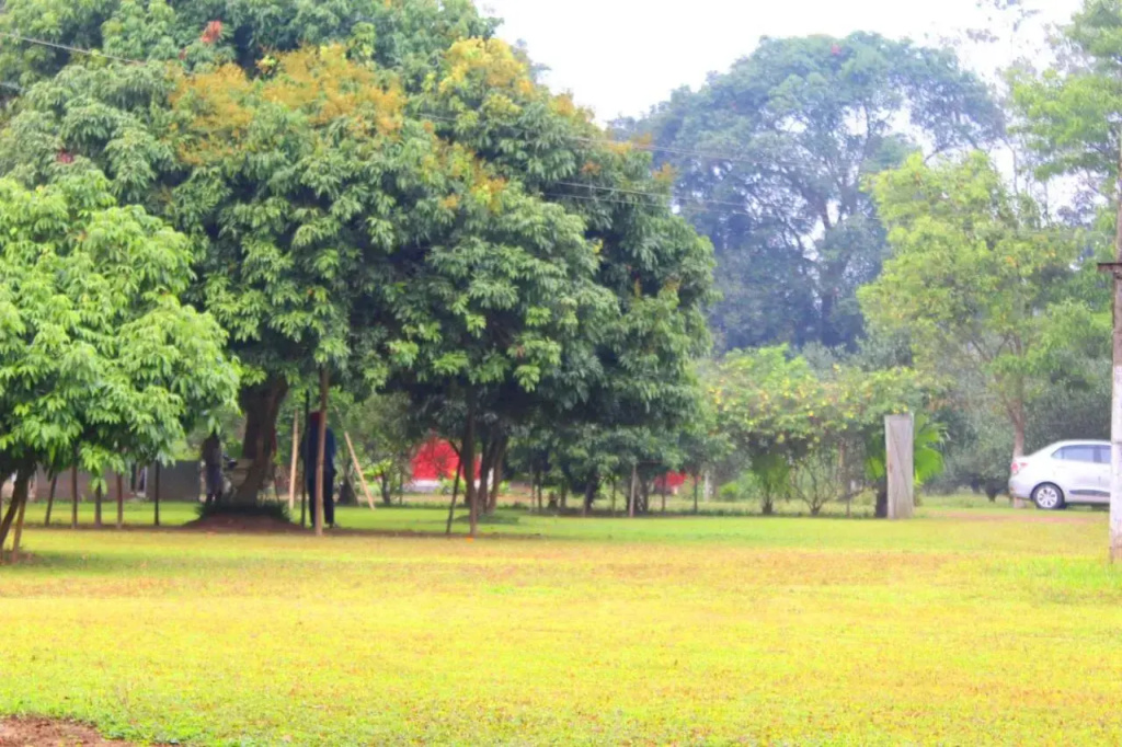 Chai Seeds Resort