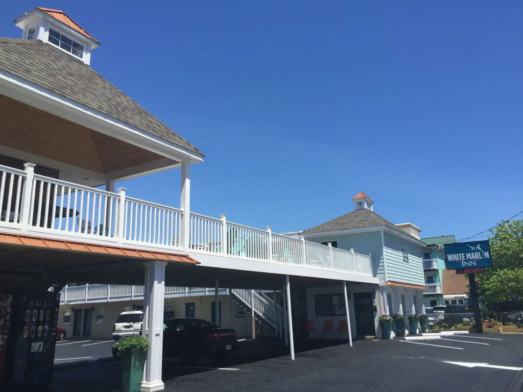 White Marlin 209B