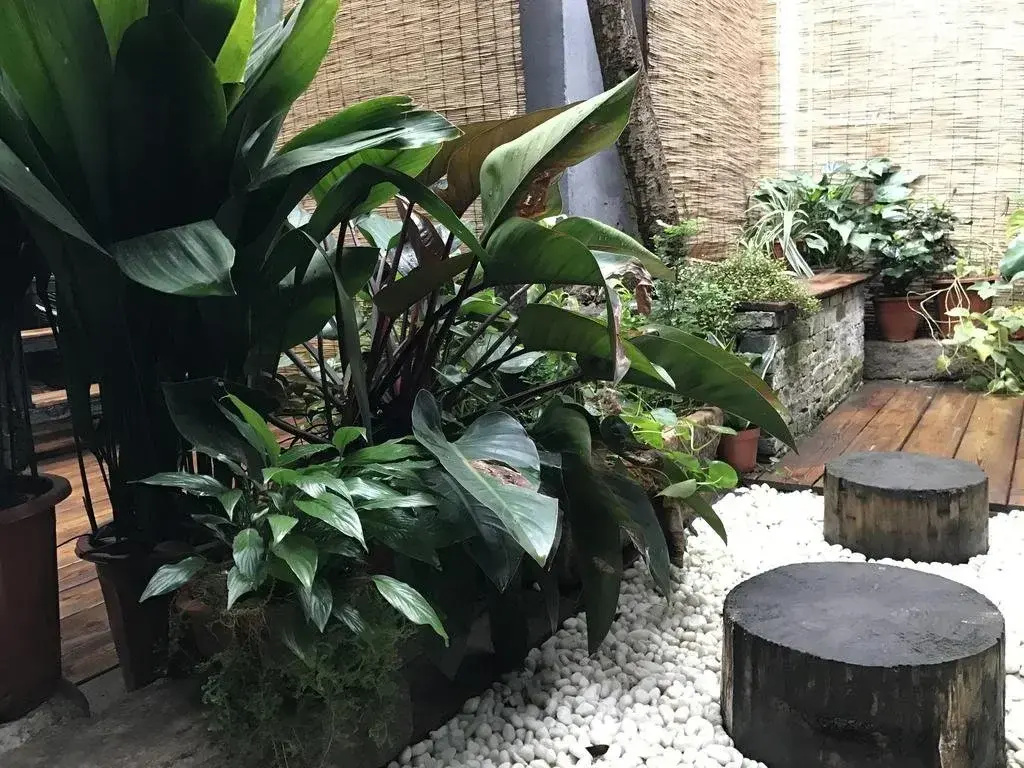 Xitang Hua Tian Hotel