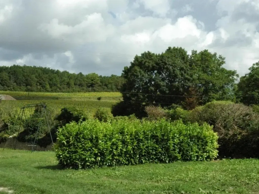 Gîte familial à Chemillé-sur-Indrois, 7 pers, confort et jardin - FR-1-381-375