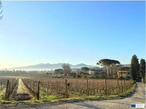 Fattoria Sardi Giustiniani