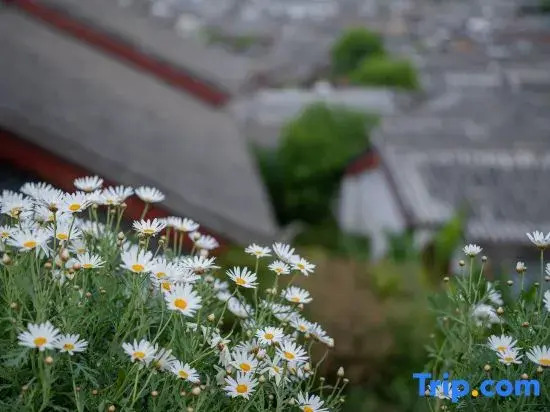 Ting Hua • 360° Ancient Town View Resort (Lijiang Ancient Town Branch)
