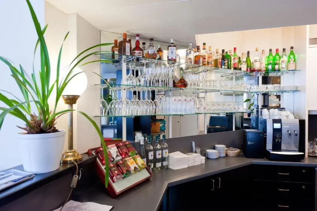 Hotel Johann Strauss