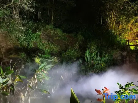 Wuyishan Six Shang · Waterfront Mountains and Beautiful Stays