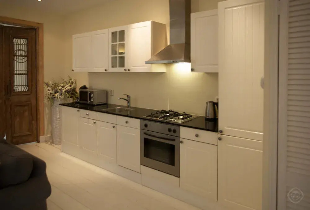 Old South apartments - Vondelpark area