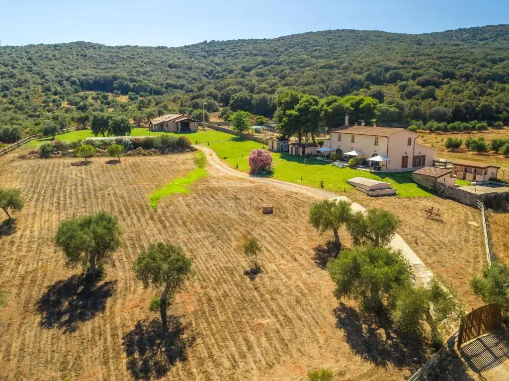 Podere Caprarecce Trilocale 6