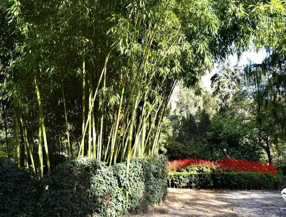 Botanical 21 Apartments