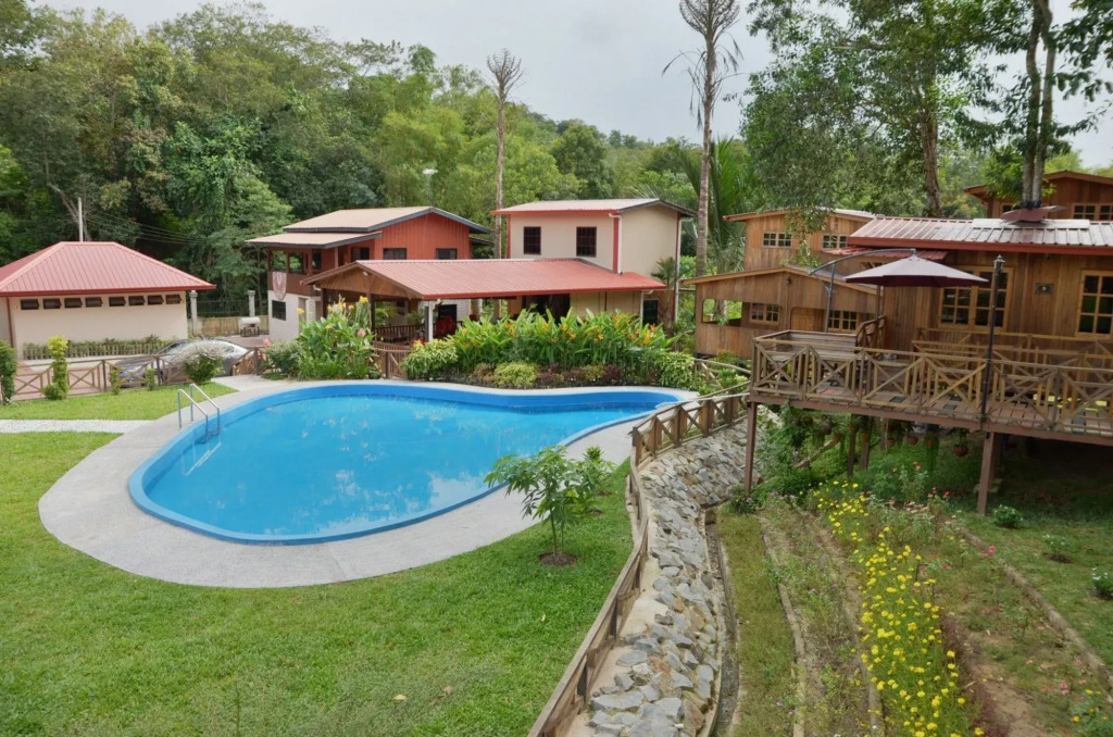 Borneo Tree House