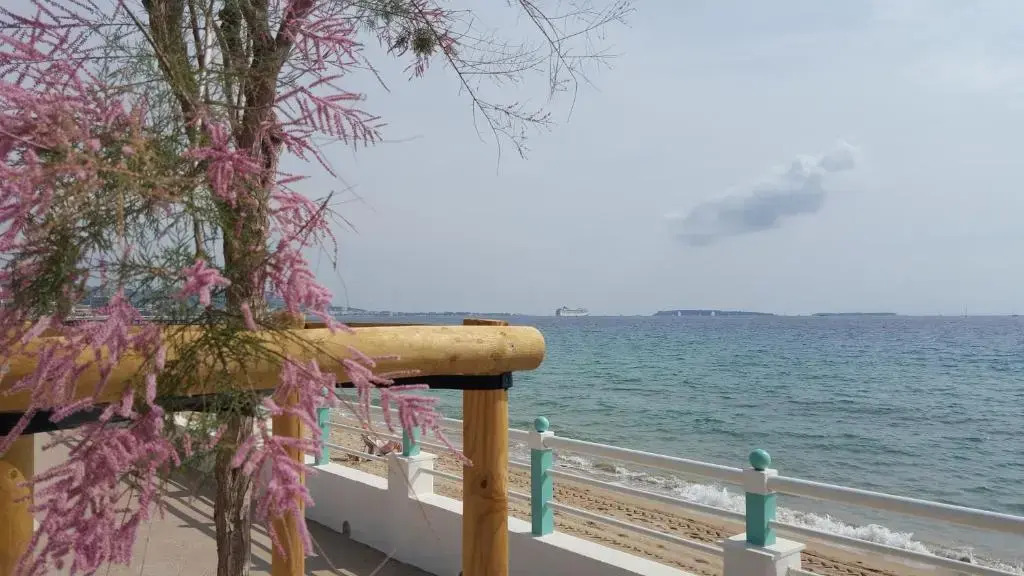 Sea Front Apartment Cannes