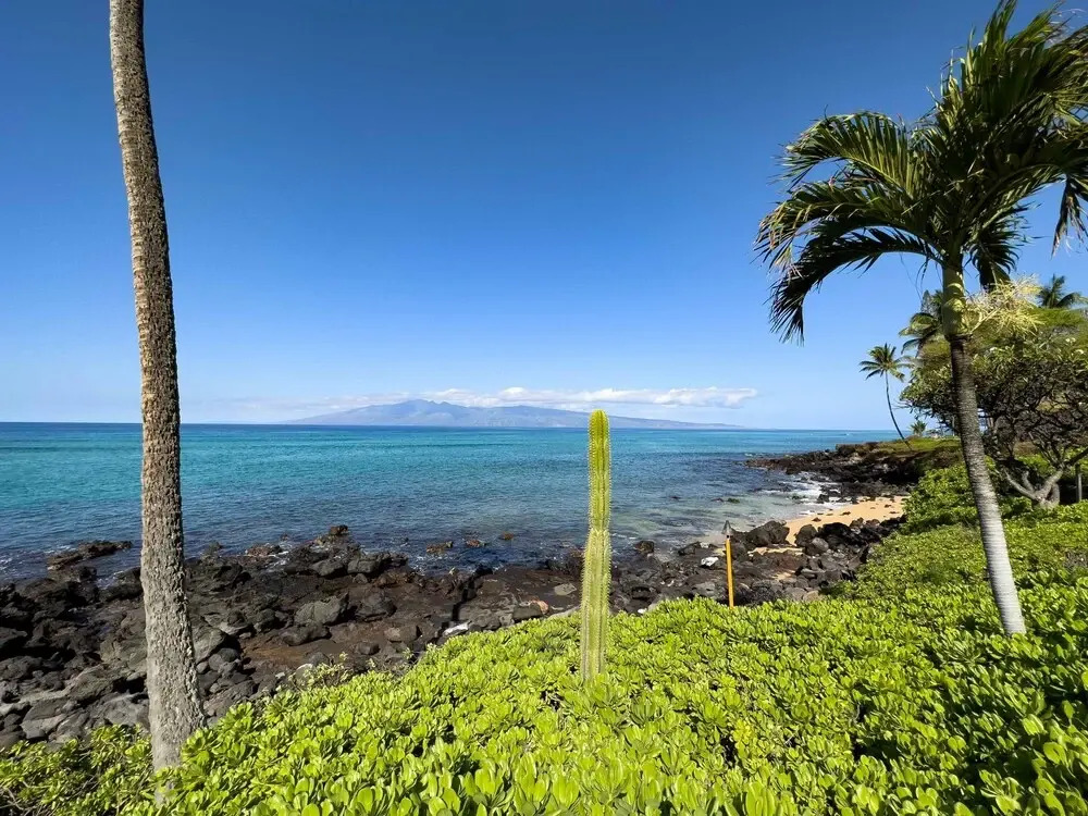 Kuleana 405 Oceanfront 1Bedroom 1 Condo by RedAwning