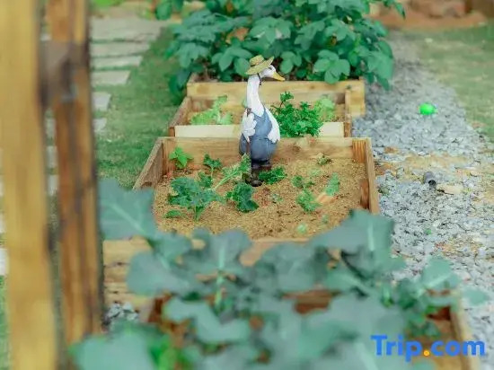 Little Garden - Mii's House