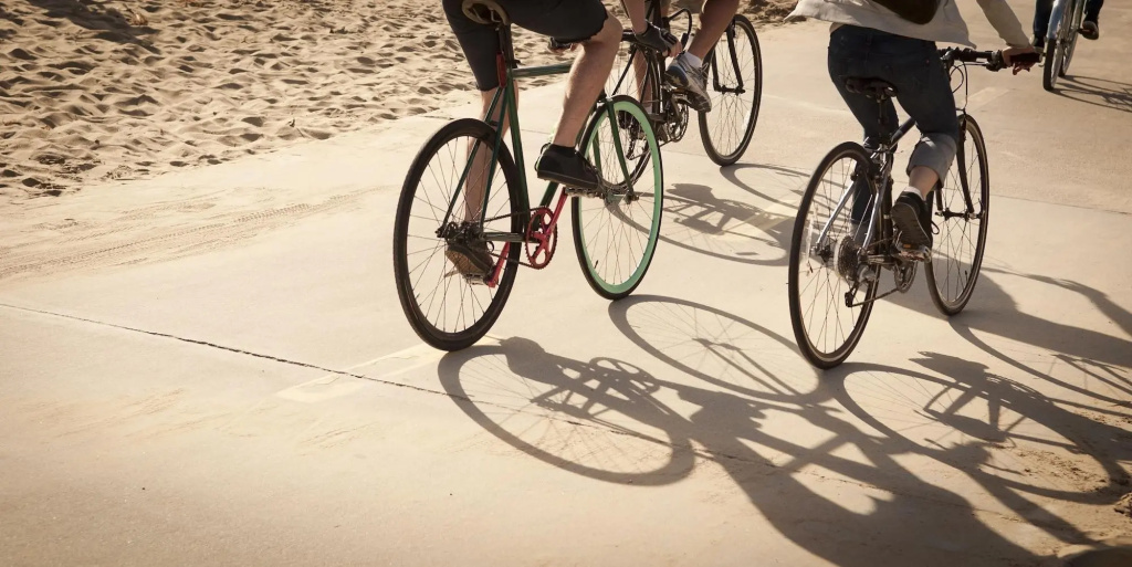 Отель Erwin Venice Beach