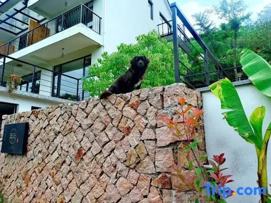 Wuji Fine•Mogan Mountain resort hotel