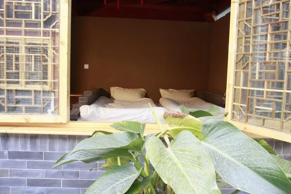 Zhengzhidao Youth Hostel
