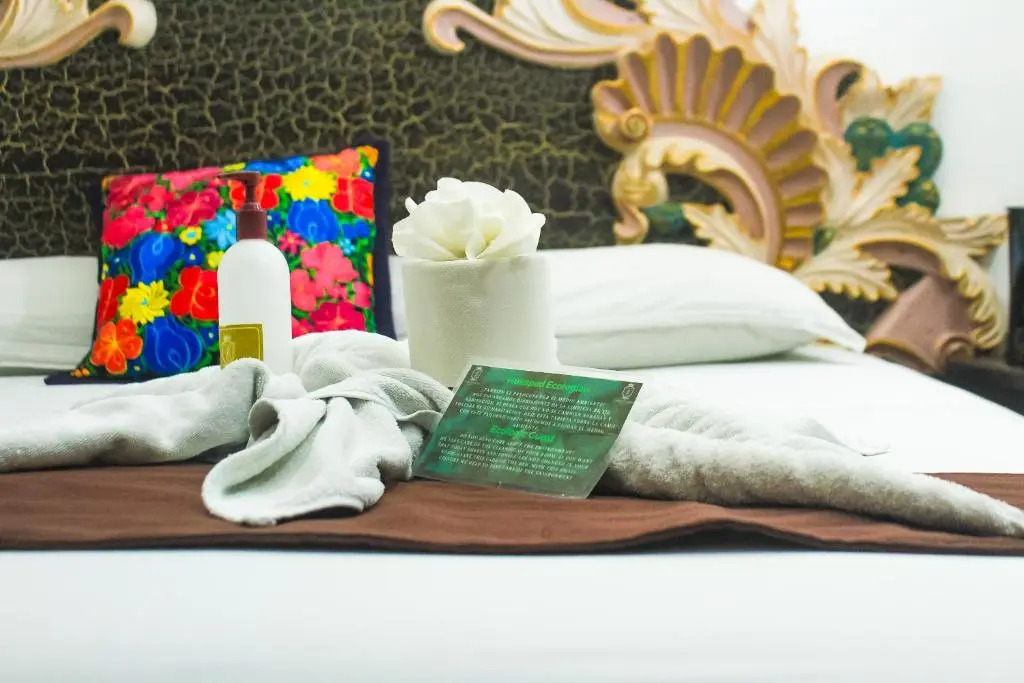 Palacio Canton Hotel - Valladolid