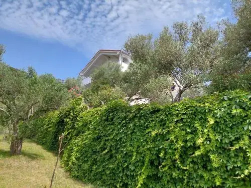 Apartment Zorka