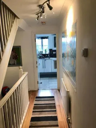 Staynorwich 69g - Hush View House