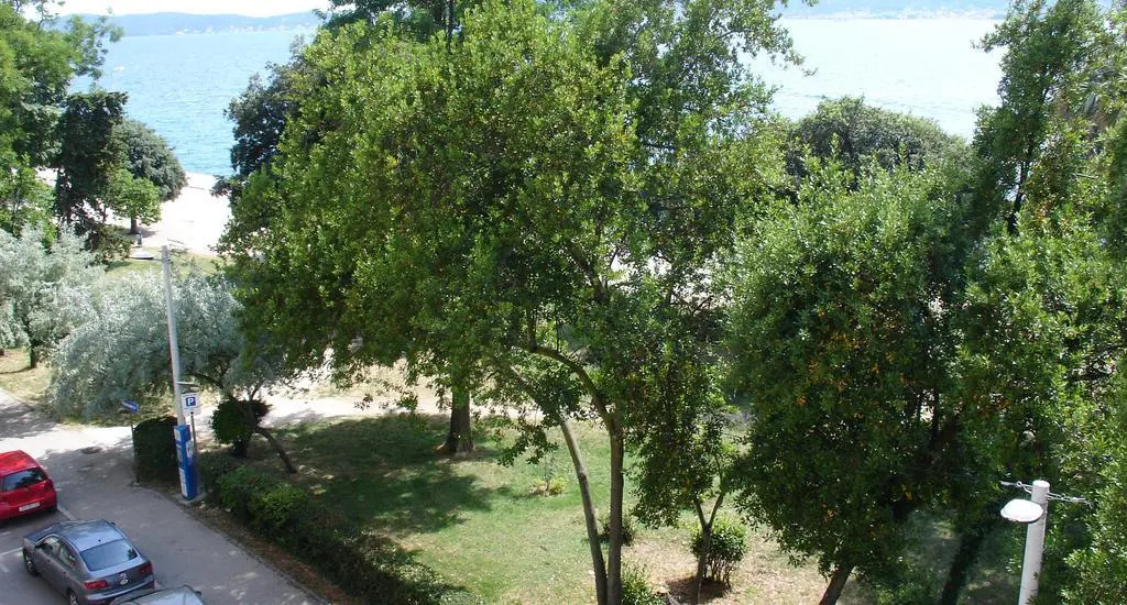 Apartment Jelena