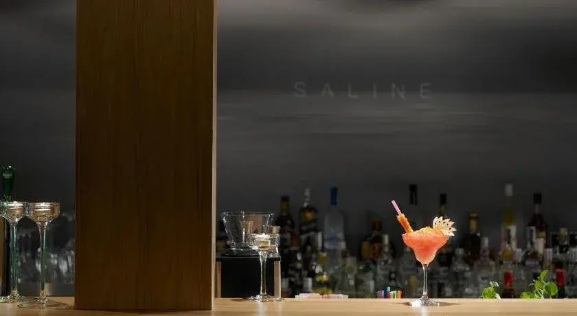 Hotel Saline