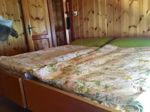 Chalet Chez Sophie