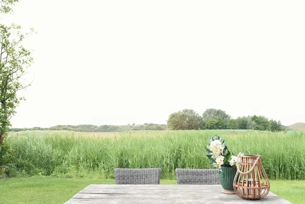 Vossehoeck 3 Apartment With Nature Reserve View