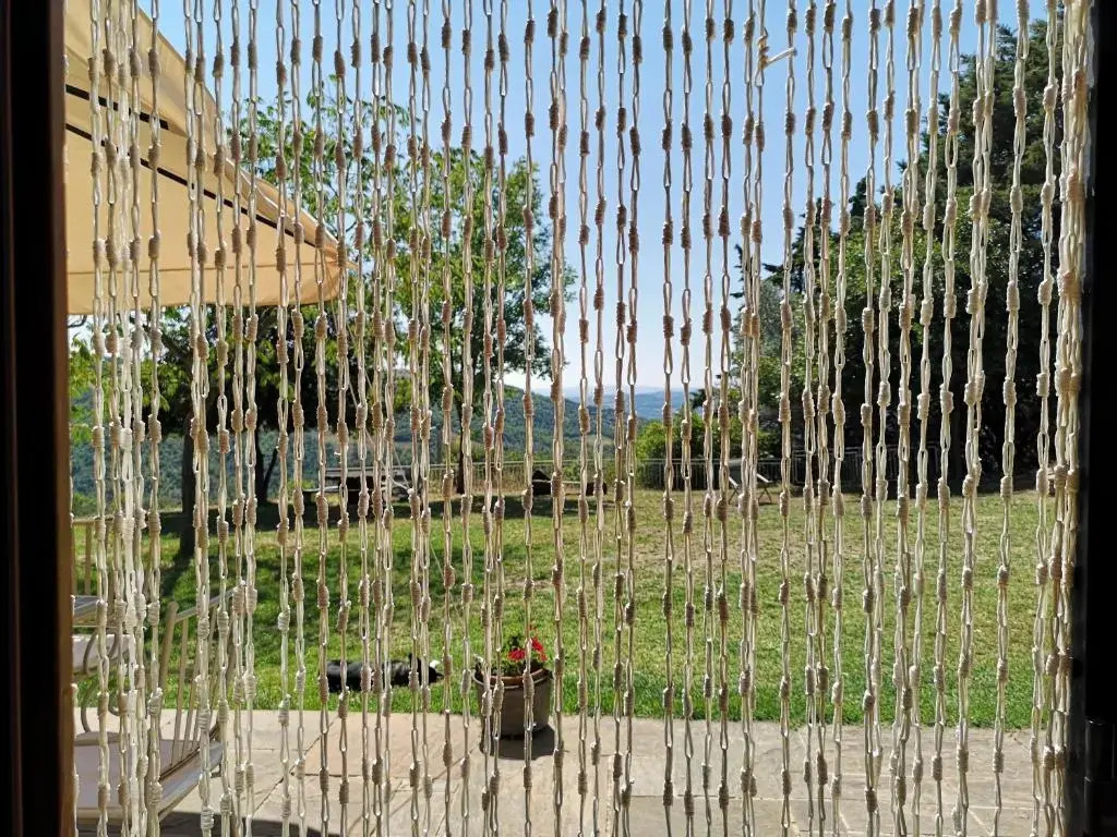 Il canto dellasino