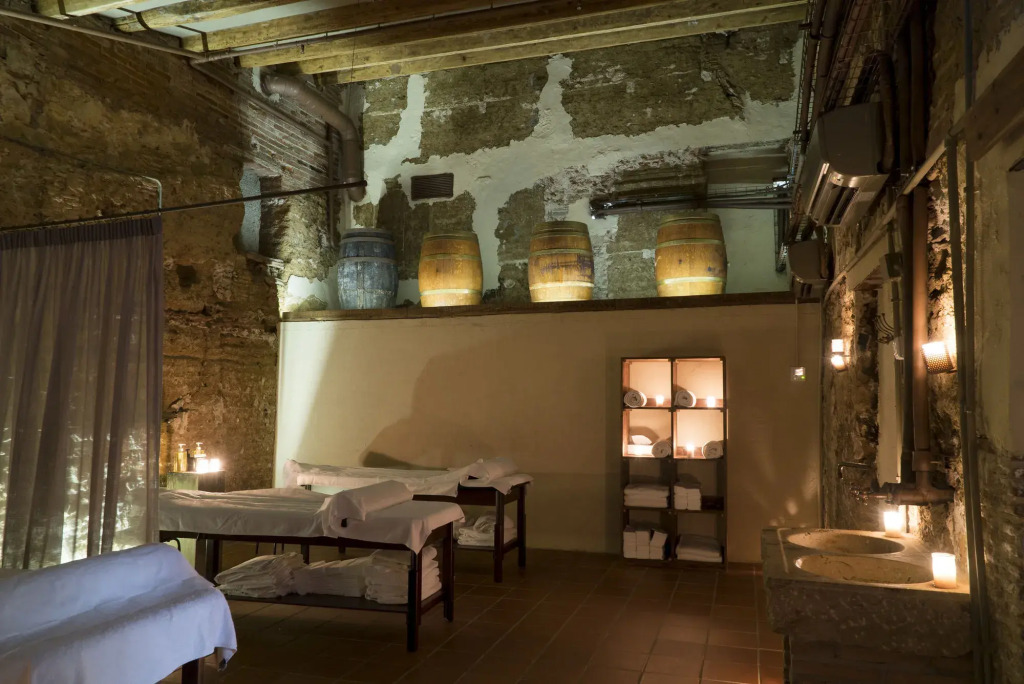 Mas Salagros Ecoresort & Aire Ancient Baths