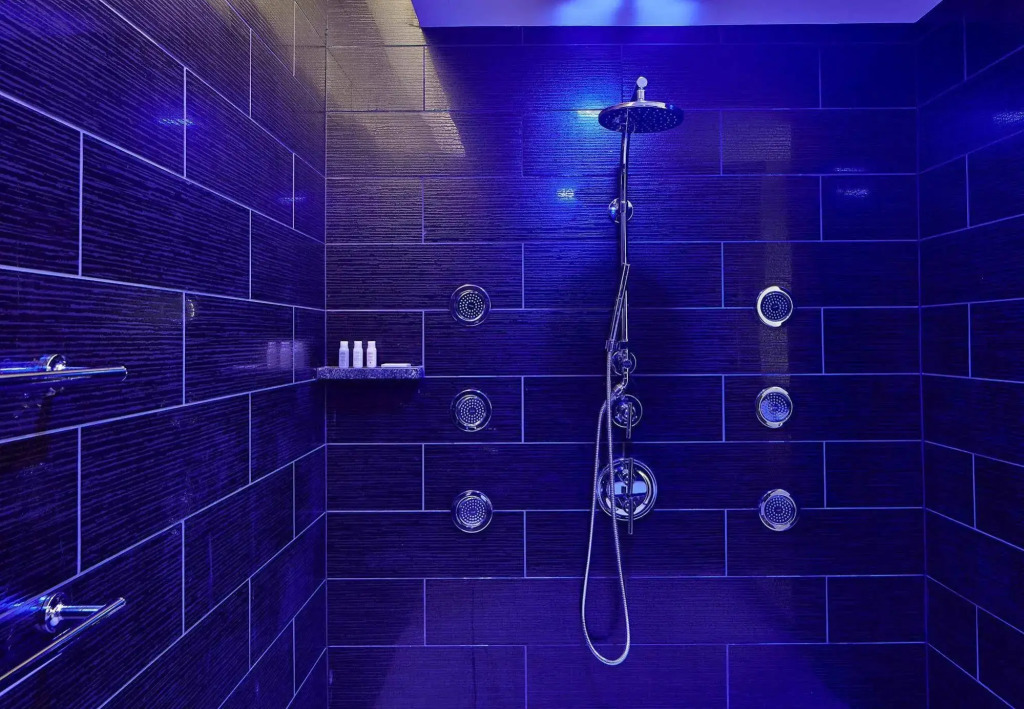 Renaissance Dallas at Plano Legacy West Hotel