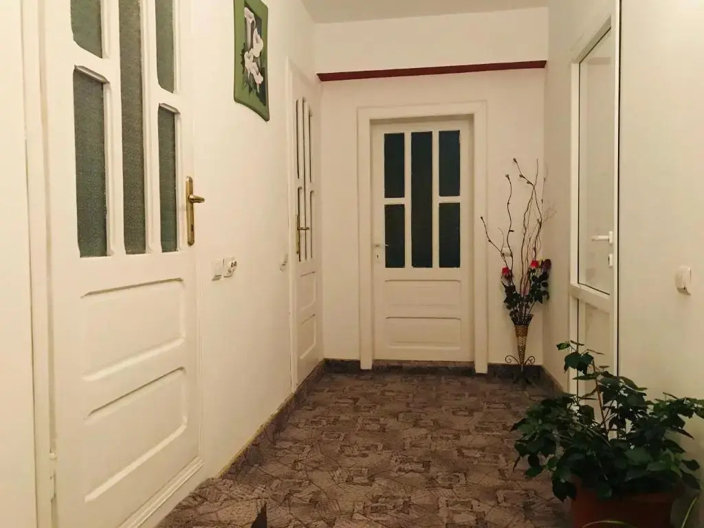 Amazing House