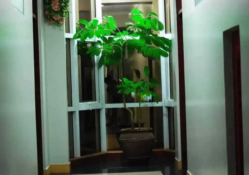 My Room by Oyo Rooms