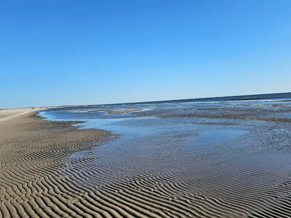 7 person holiday home in Fanø-By Traum