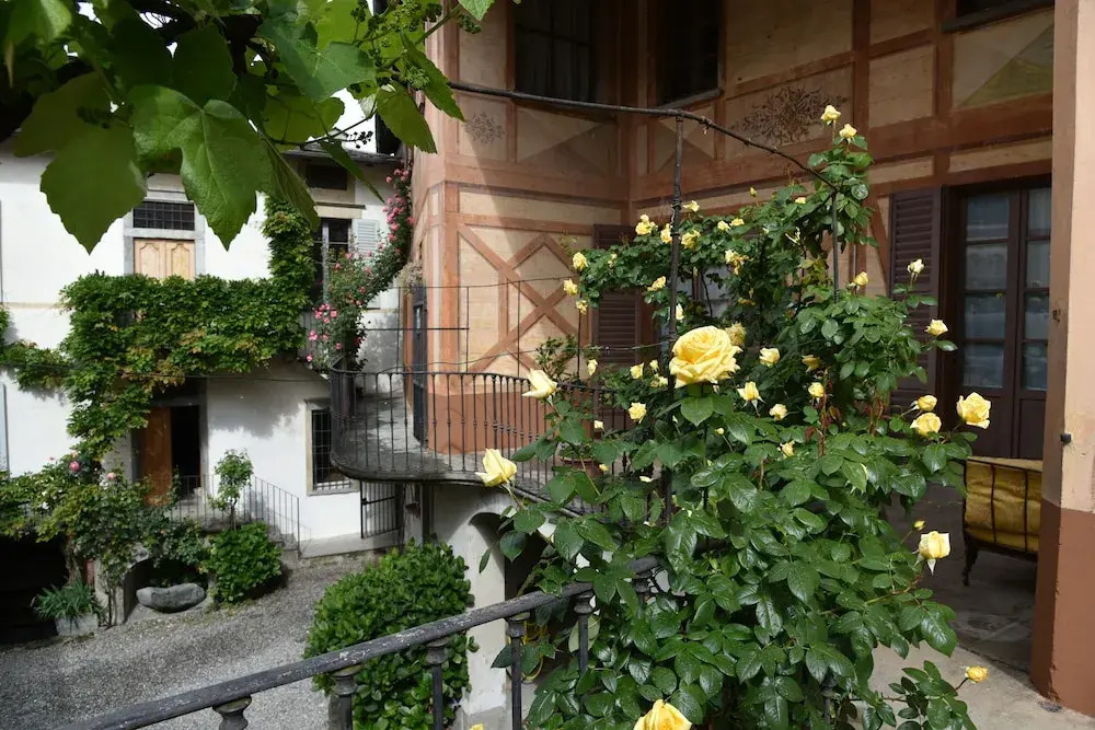 Roseto del Drago